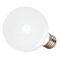 Satco 6w 120v Globe G25 5000k Dimmable E26 Natural Light LED Bulb